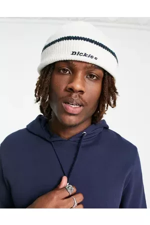 Dickies Chalkville beanie in off
