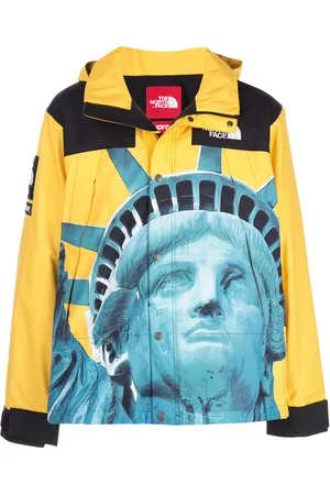 Supreme X The North Face Mountain jacket