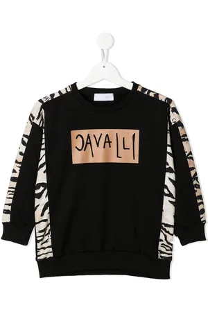 Roberto Cavalli Animal-logo print sweatshirt
