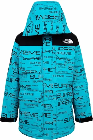 Supreme X The North Face Coldworks 700-fill down coat
