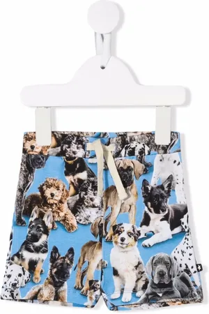 Molo All-over dog-print shorts