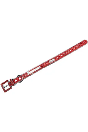 Supreme B.B. Simon studded dog collar