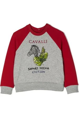 Roberto Cavalli Graphic-print sweatshirt