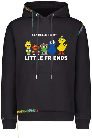 MOSTLY HEARD RARELY SEEN Little Friends hoodie