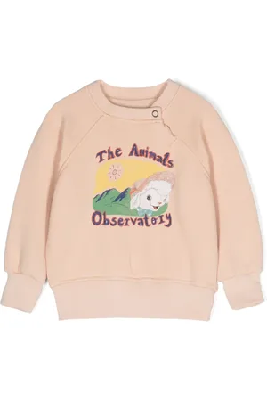 The Animals Observatory Jackal graphic-print sweatshirt
