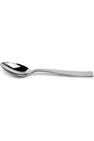 Sambonet Serving spoon (set of two)