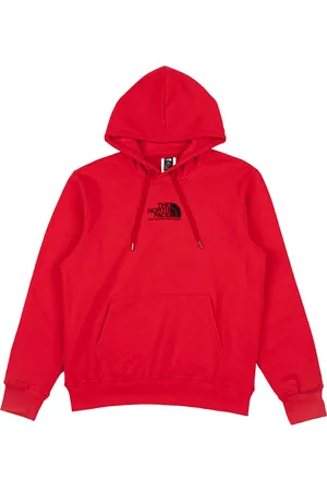 The North Face Fine Alpine " " hoodie