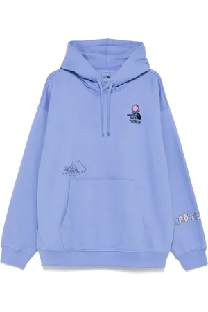The North Face Mountain Cleanup hoodie