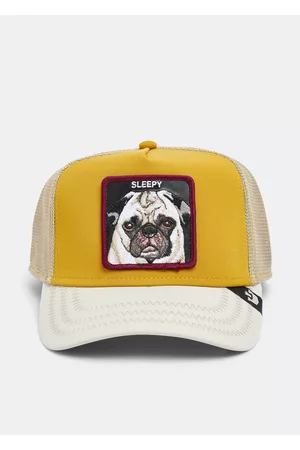 Goorin Bros. Men Caps - Sleepy Pug trucker cap