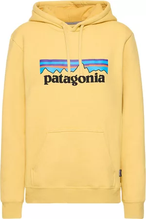 Patagonia Women Sweatshirts - P-6 Logouprisal Hoodie