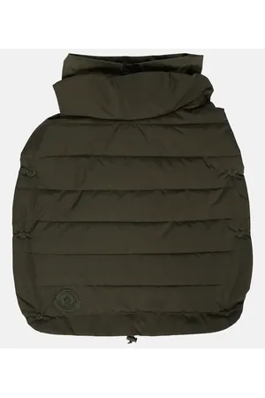 Moncler Poldo Dog Couture dog coat