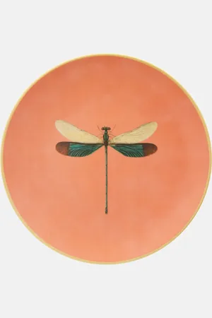 Les-Ottomans Insetti Dragonfly porcelain plate