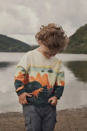 Next Orange/ Dinosaur Character Scene Crew Neck 100% Cotton Sweatshirt (3mths-7yrs)