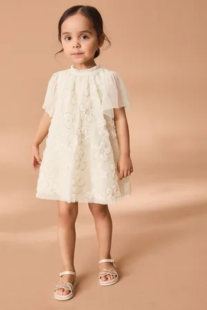 Next Mesh Flower Print Dress (3mths-7yrs)