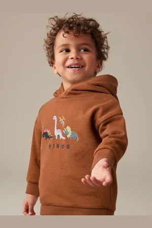 Next Rust Dinosaur Embroidered Placement Hoodie (3mths-7yrs)