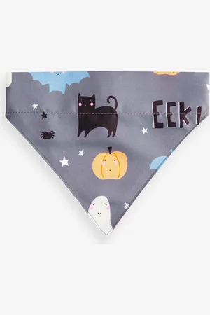 Next Matching Family Halloween Pet Bandana