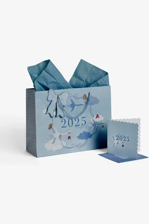 Next Baby Boy Born In 2025 Gift Bag and Card Set