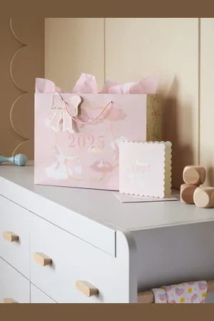 Next Baby Girl Born In 2025 Gift Bag and Card Set