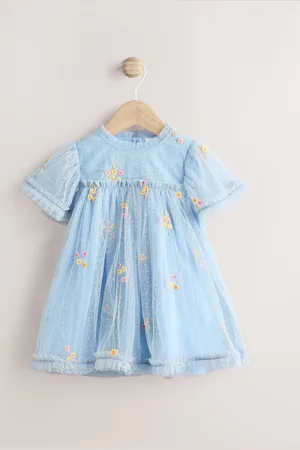 Next Embroidered Flower Mesh Baby Dress (0mths-2yrs)