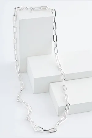 Next Tone Long Chain Link Necklace