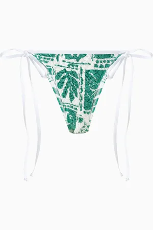 Cleonie Swim Tini Bikini Briefs in Stretch Nylon