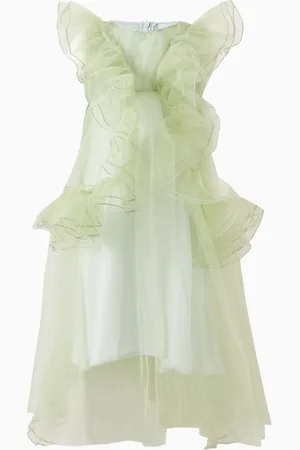 RASPBERRY PLUM Rosella Flared Dress in Mesh
