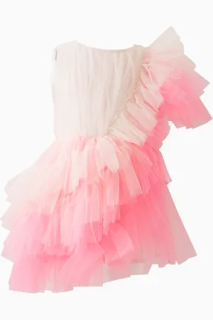 RASPBERRY PLUM Ada Flared Dress in Mesh