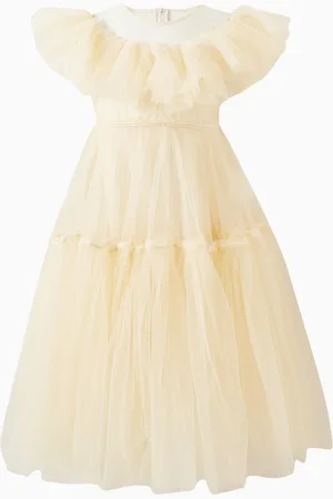 RASPBERRY PLUM Shoshana Flared Dress in Mesh