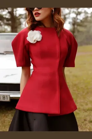stylewe Plain Regular Fit Urban Crew Neck Short Sleeve Blouse With Brooch