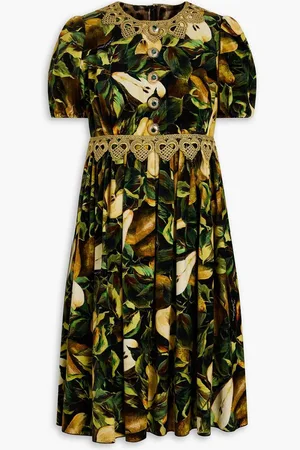 Dolce & Gabbana Lace-trimmed floral-print cotton-blend velvet mini dress