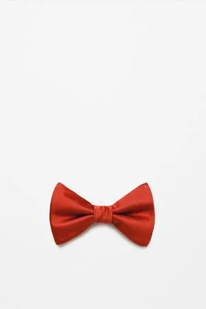 Zara Basic bow tie